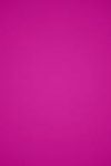 Fuscia